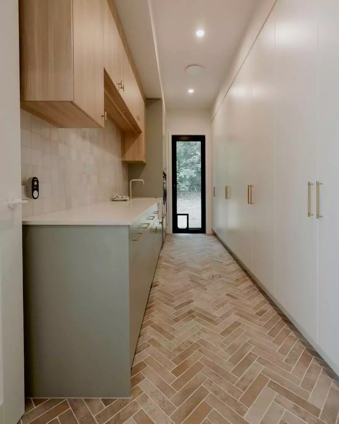 Modern Kitchen